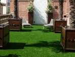 Lawns Gallery