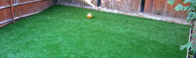 garden lawn close up photo