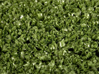 golf putting green grass