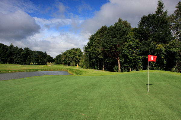 golf course construction